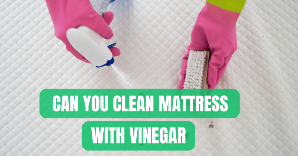 Can You Clean Mattress With Vinegar